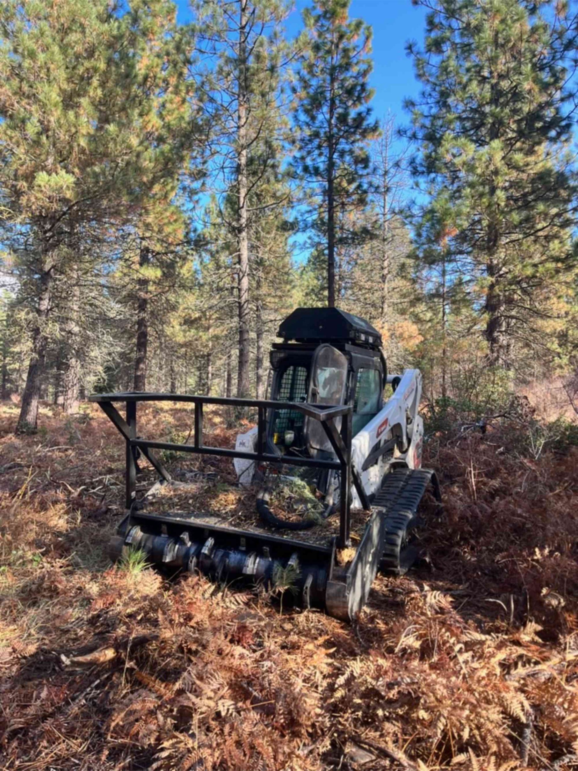 Vegetation removal and property cleanup by Hiller Demolition